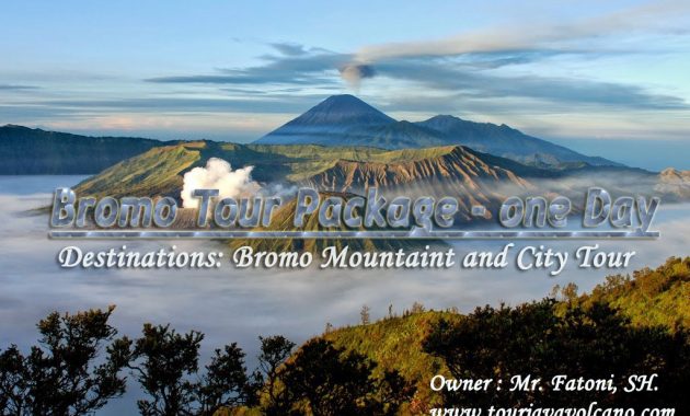 BROMO TOUR PACKAGE