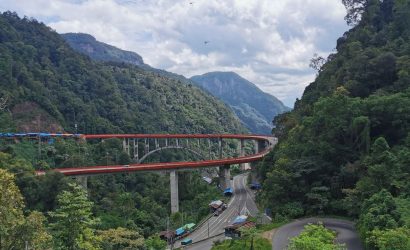bridge over road in forest
