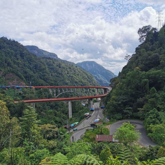 bridge over road in forest