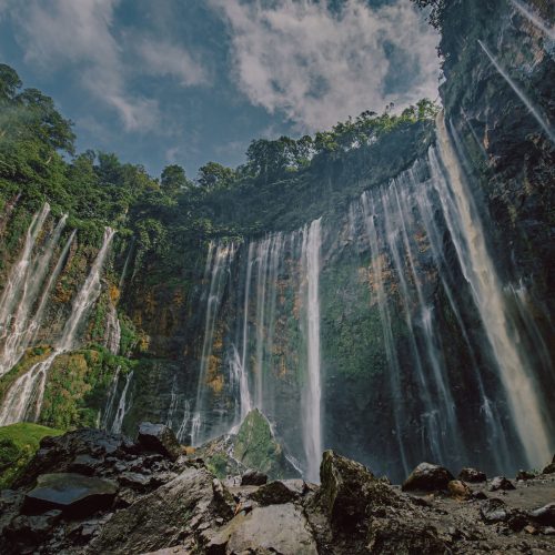 spectacular waterfall in lush green forest
