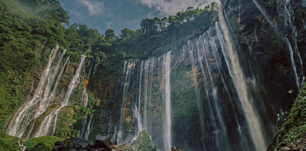 spectacular waterfall in lush green forest